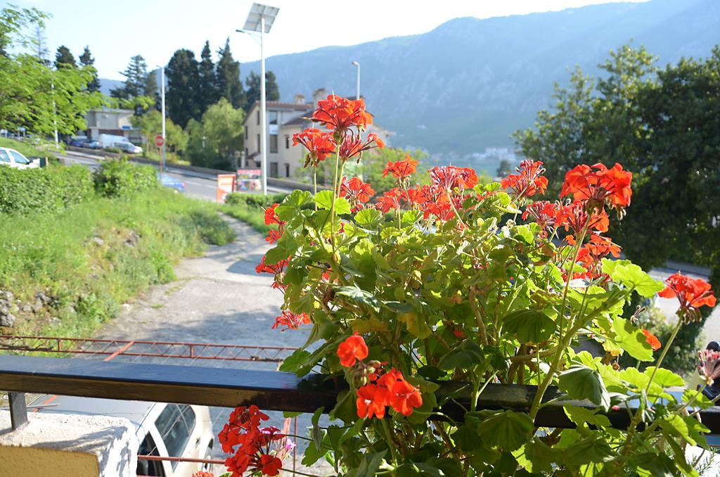 Apartment Luka Kotor Buitenkant foto